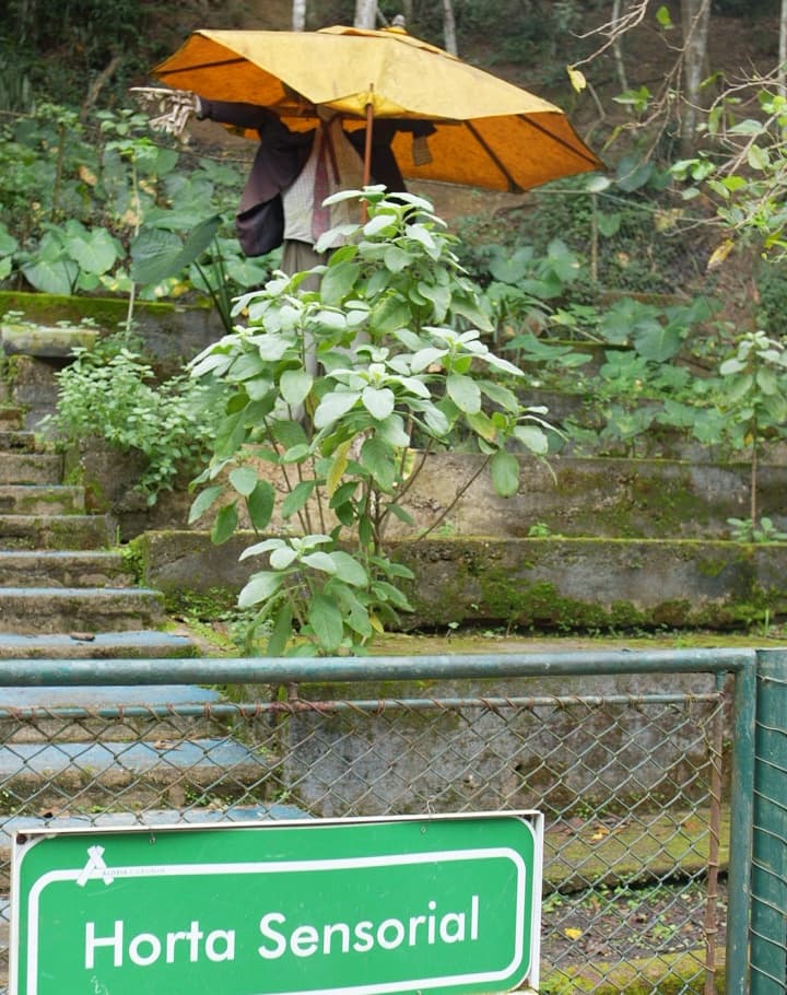 Horta